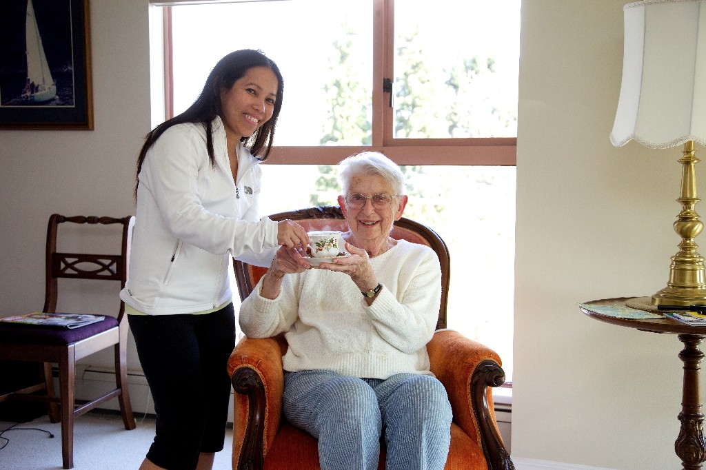 AbleNannies AbleNannies