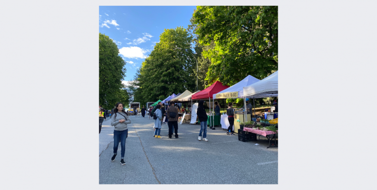 sunny market photo 768x388